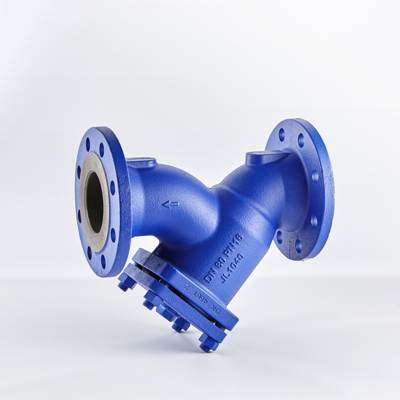 Strainers, Flanged